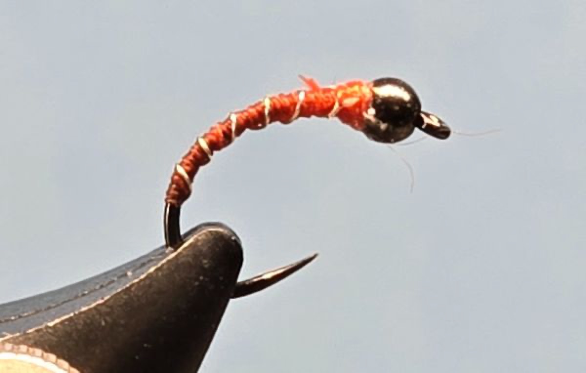 Midge Pupa fly pattern tied by Darrell Olson