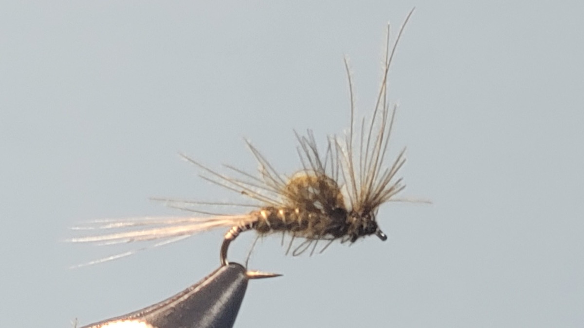 MP-43 Emerger fly pattern tied by Darrell Olson