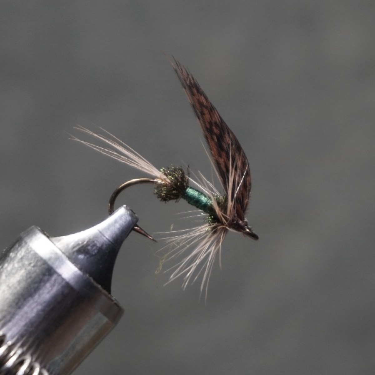 Royal Governor fly pattern tied by Christian Andrews