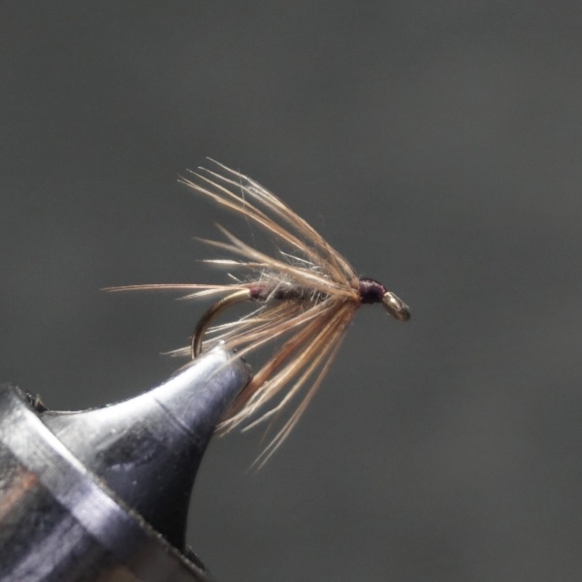 Iron Blue Wingless fly pattern tied by Christian Andrews