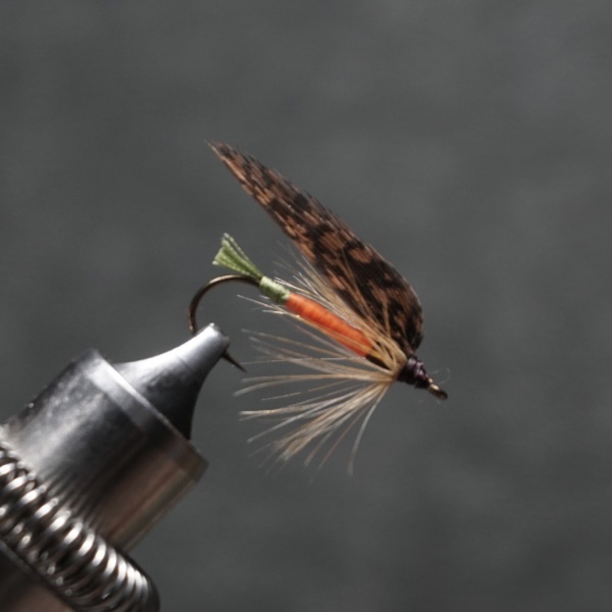 Grannom fly pattern tied by Christian Andrews