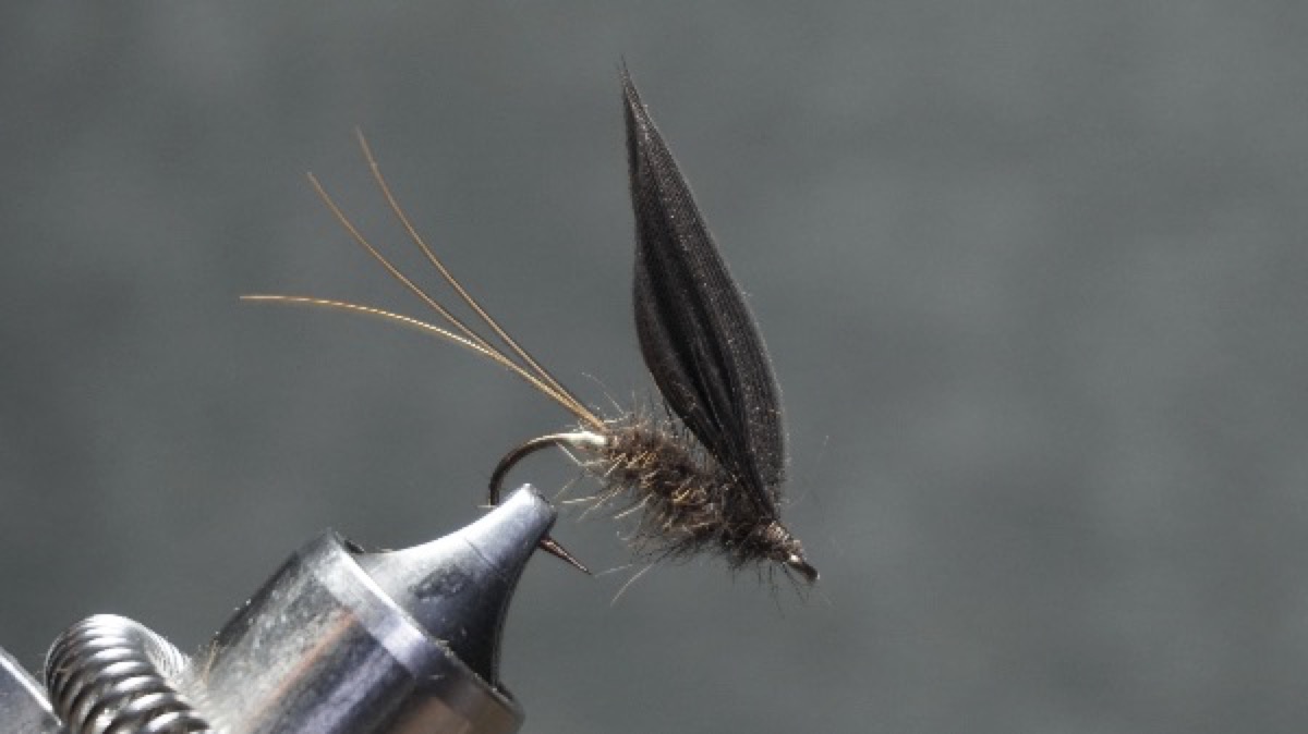 Hare’s Ear fly pattern tied by Christian Andrews