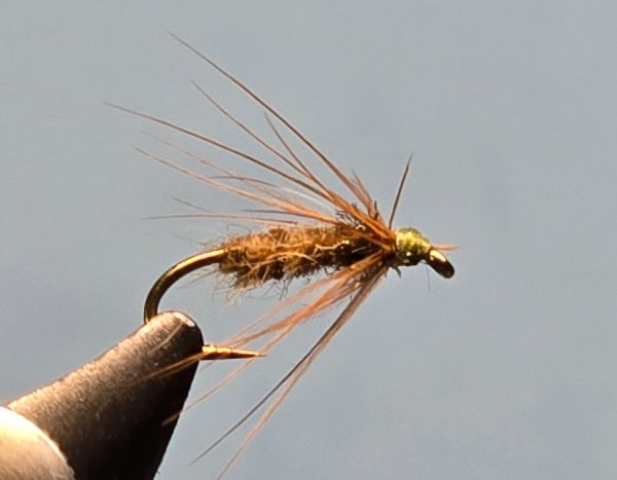 Eastern BWO Soft Hackle fly pattern tied by Darrell Olson