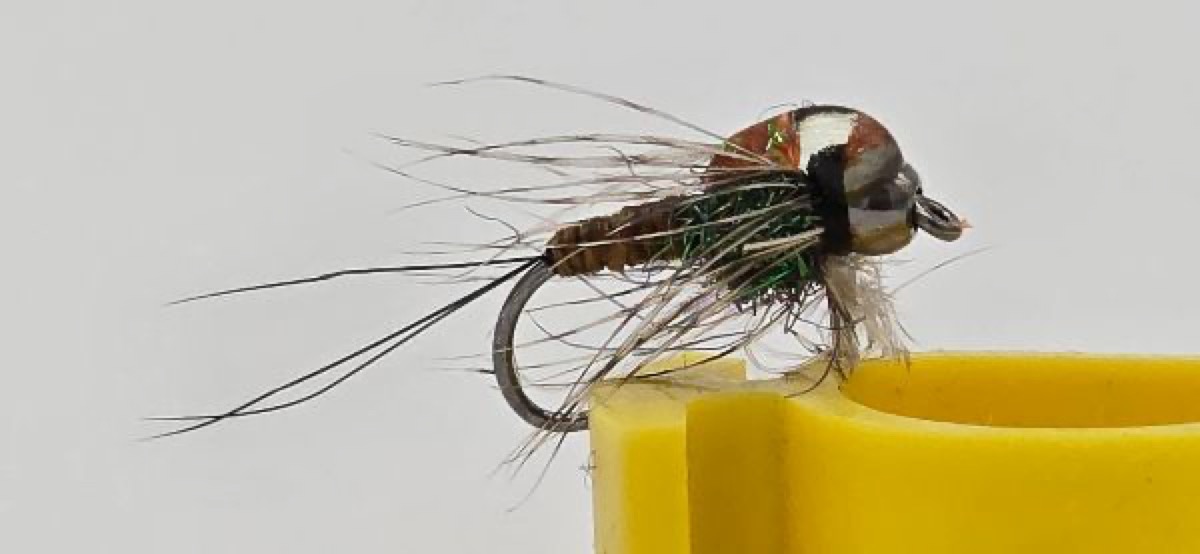 Bugaboo fly pattern tied by Darrell Olson