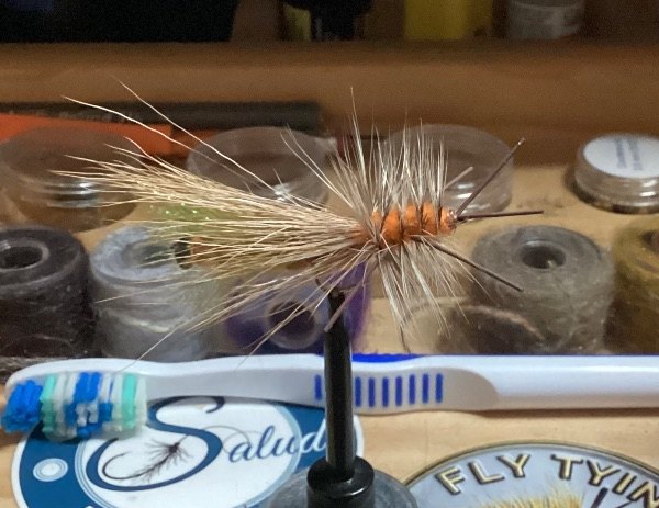 Salmonfly/Giant Stonefly (adult dry fly) fly pattern tied by []