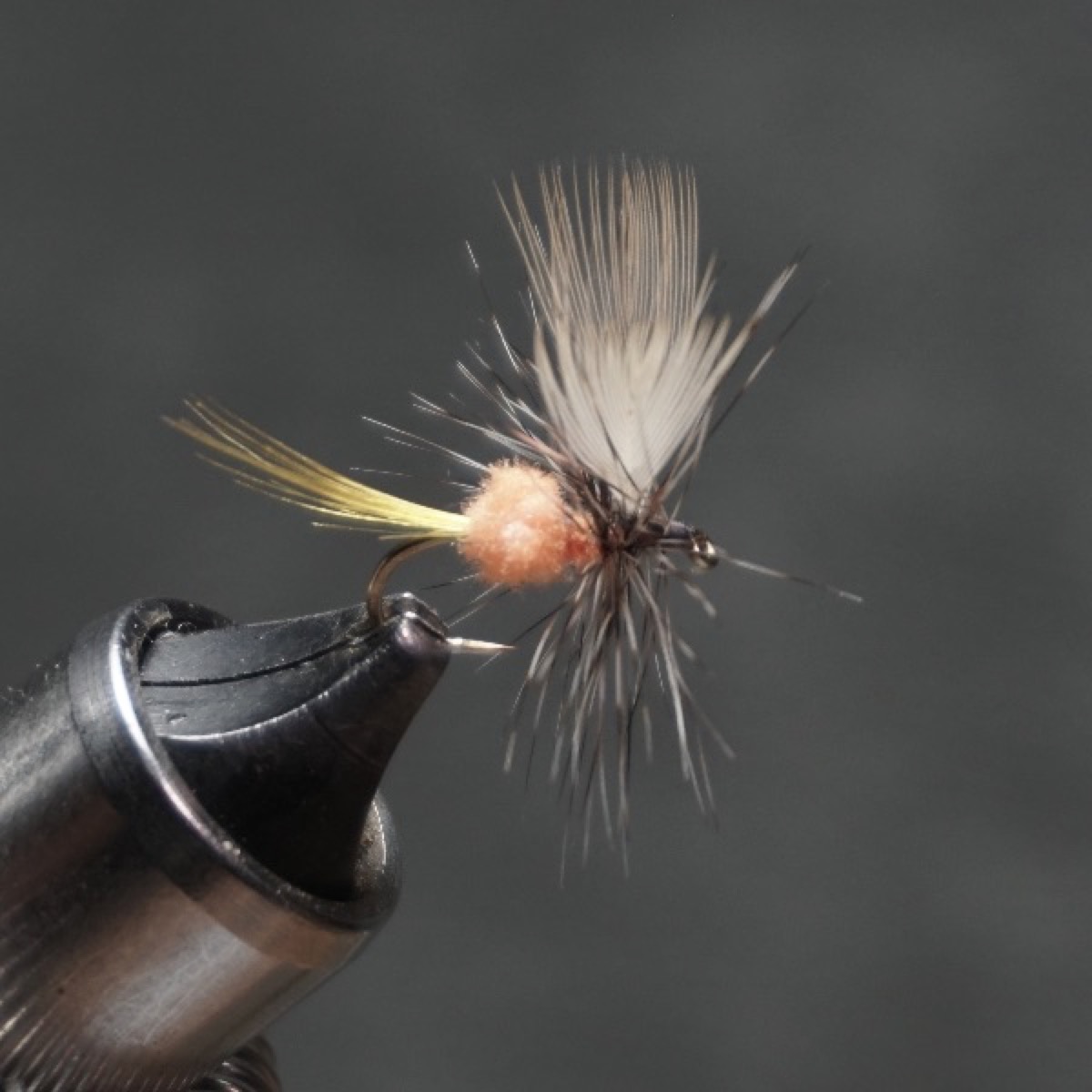 Golden Quail fly pattern tied by Christian Andrews