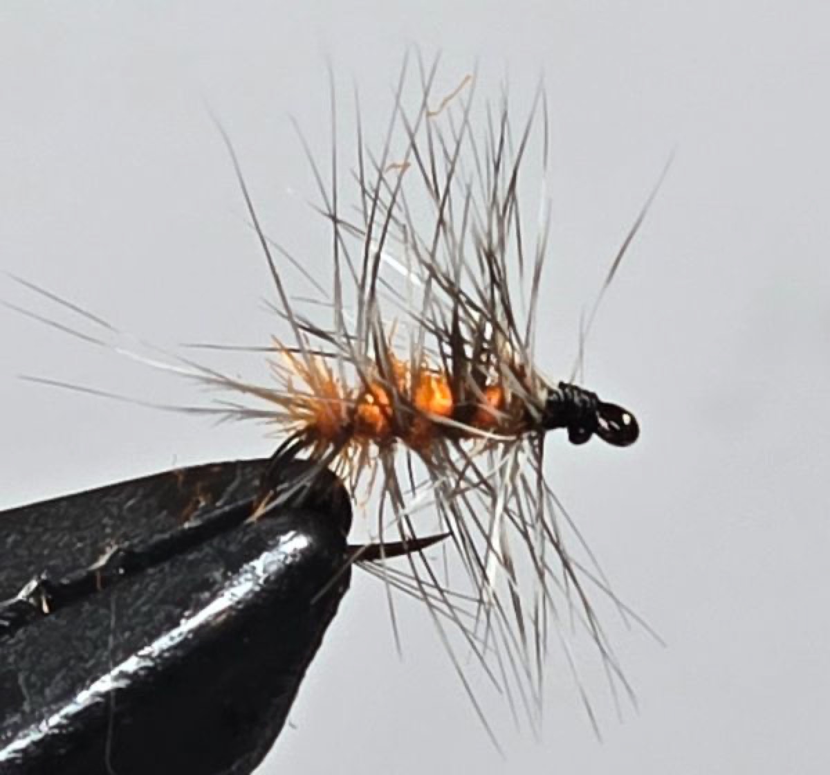October Griffith's Gnat fly pattern tied by Darrell Olson