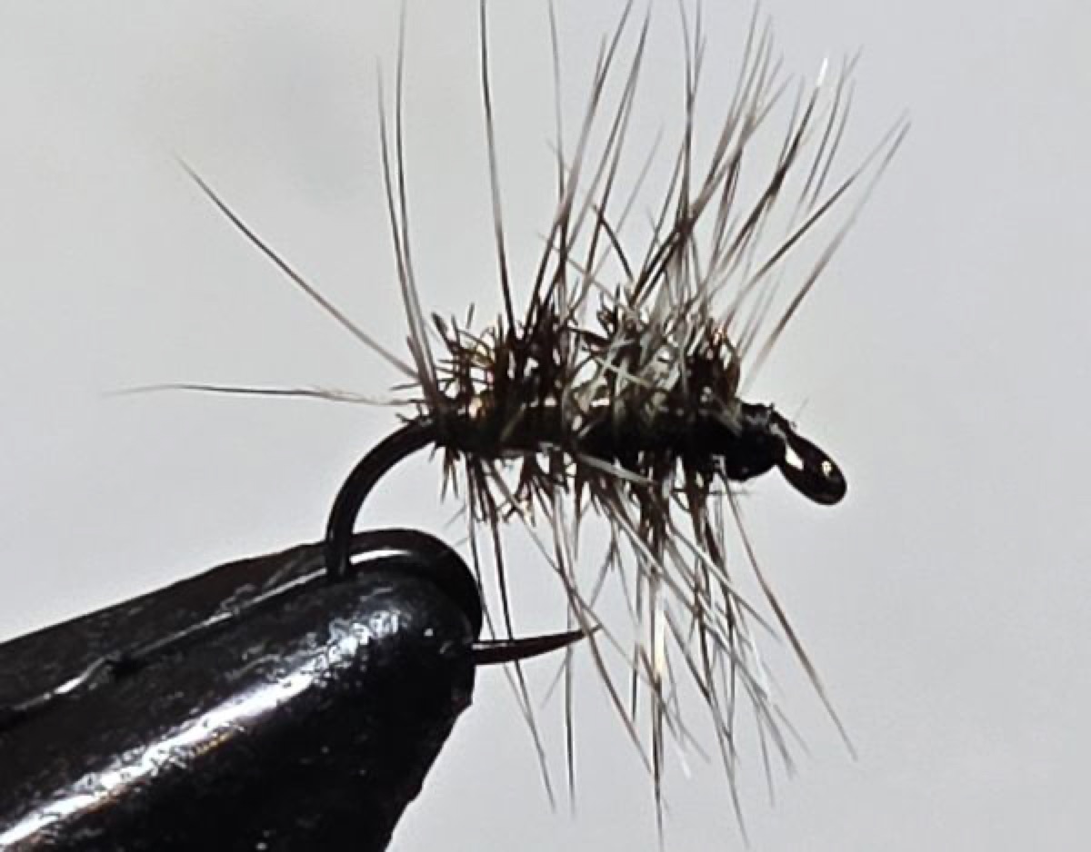 Griffith's Gnat fly pattern tied by Darrell Olson