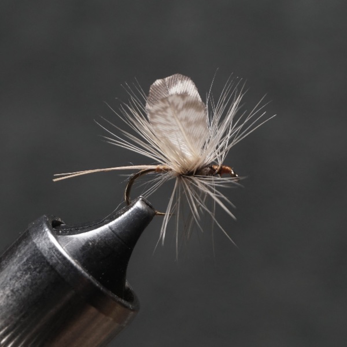 Green Drake Thorax Dun fly pattern tied by Christian Andrews