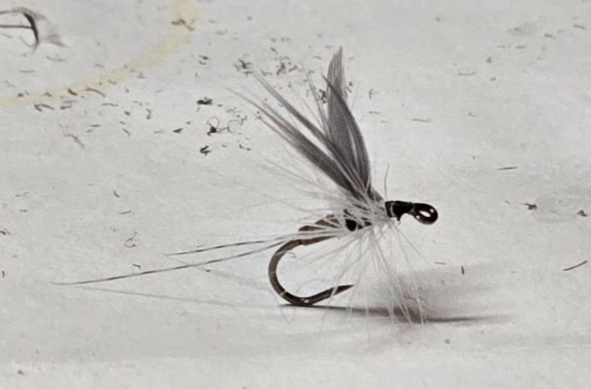 Blue Quill fly pattern tied by Darrell Olson