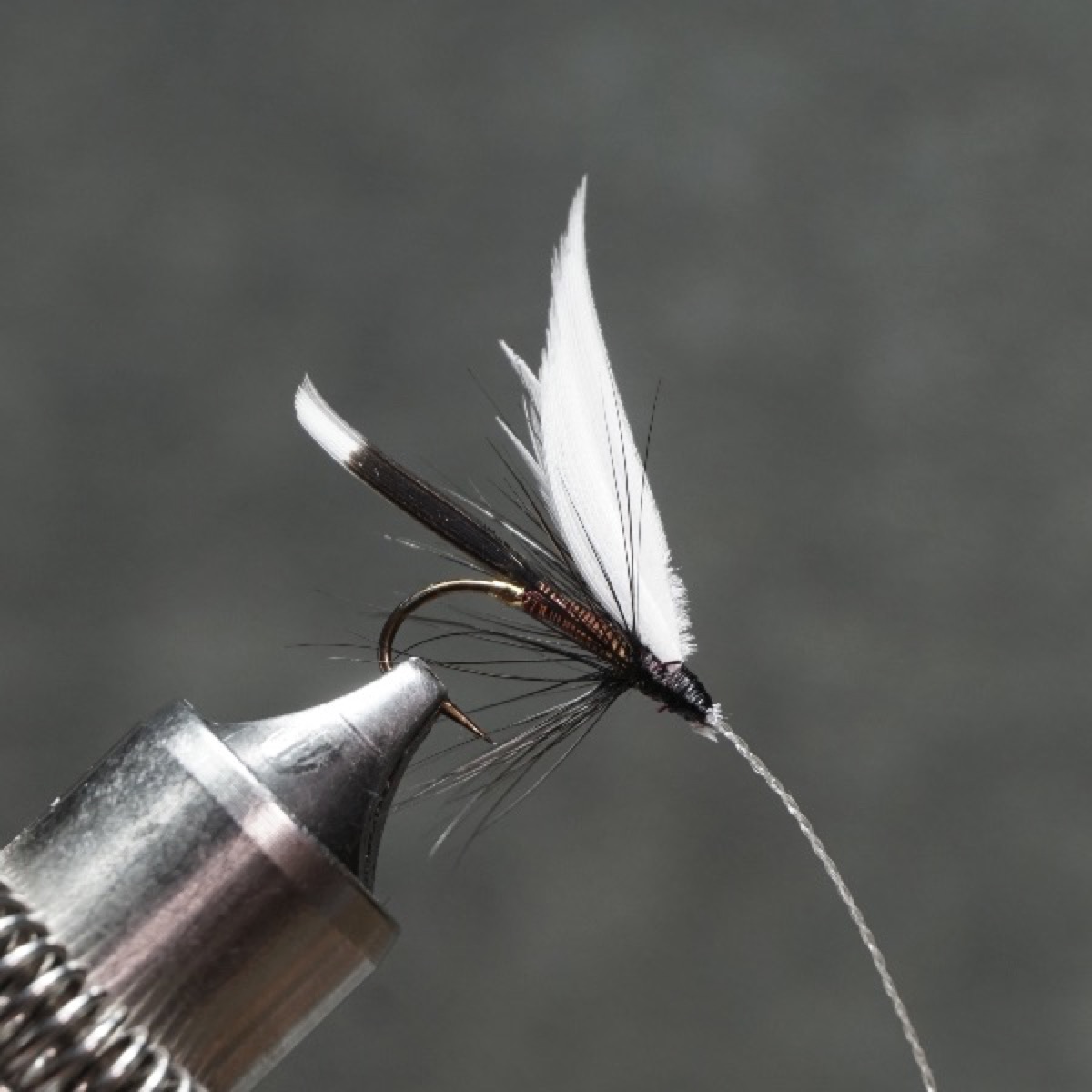 Hamlin fly pattern tied by Christian Andrews