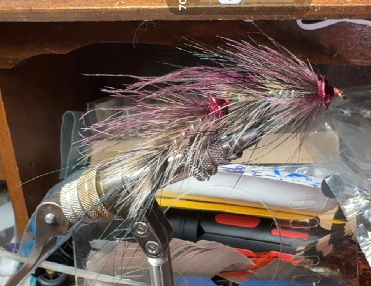 Spey Envy fly pattern tied by James Bass