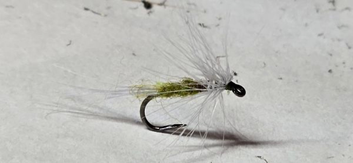 Blue Wing Olive fly pattern tied by Darrell Olson