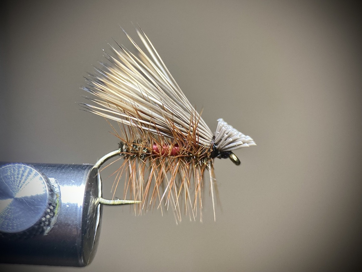 A Royal Caddis fly pattern tied by Ryan Storch