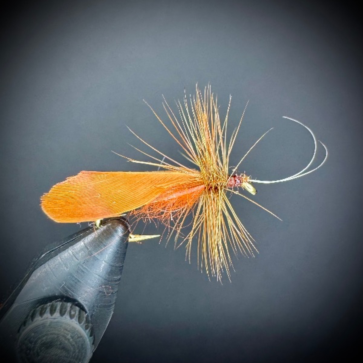 Joe's October Caddis fly pattern tied by Joe Glessner