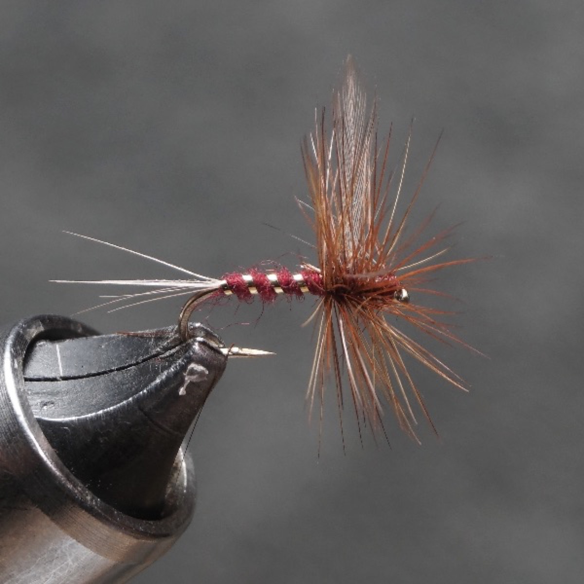 Red Spinner fly pattern tied by Christian Andrews