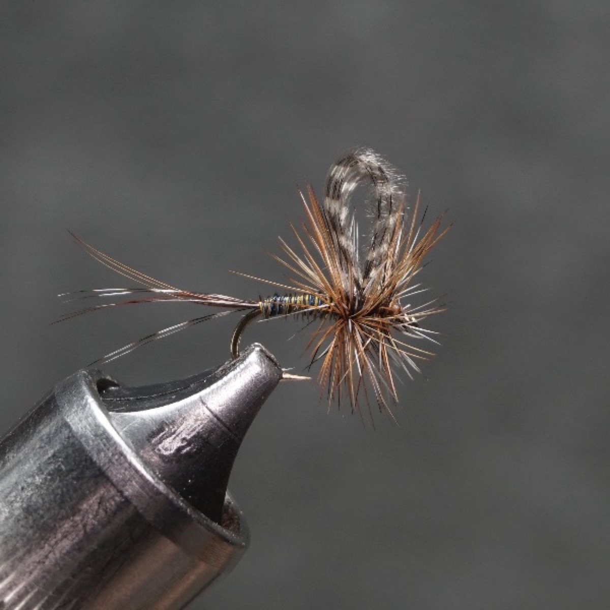 Loop Wing Macaw Adams fly pattern tied by Christian Andrews