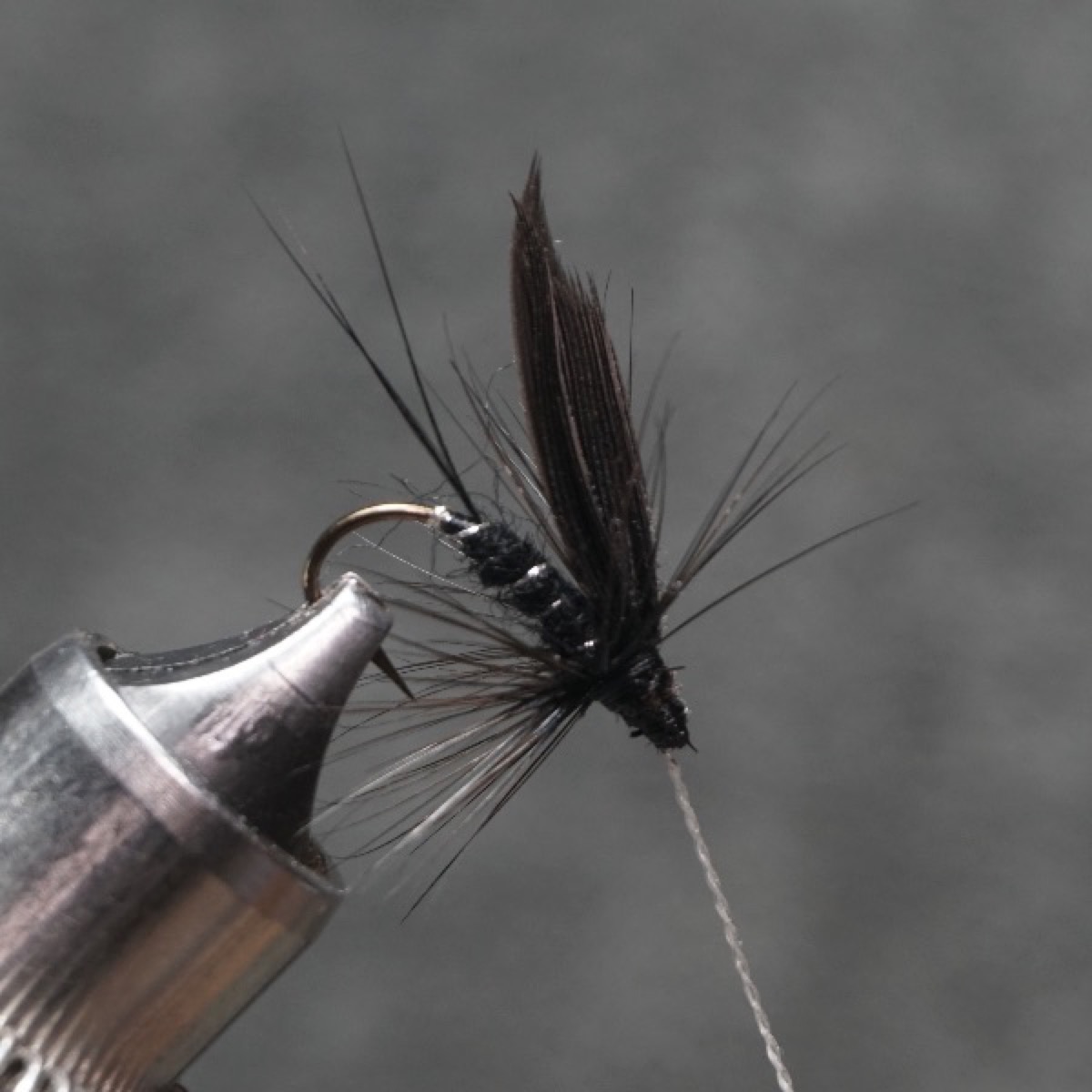 Hawthorn Fly fly pattern tied by Christian Andrews