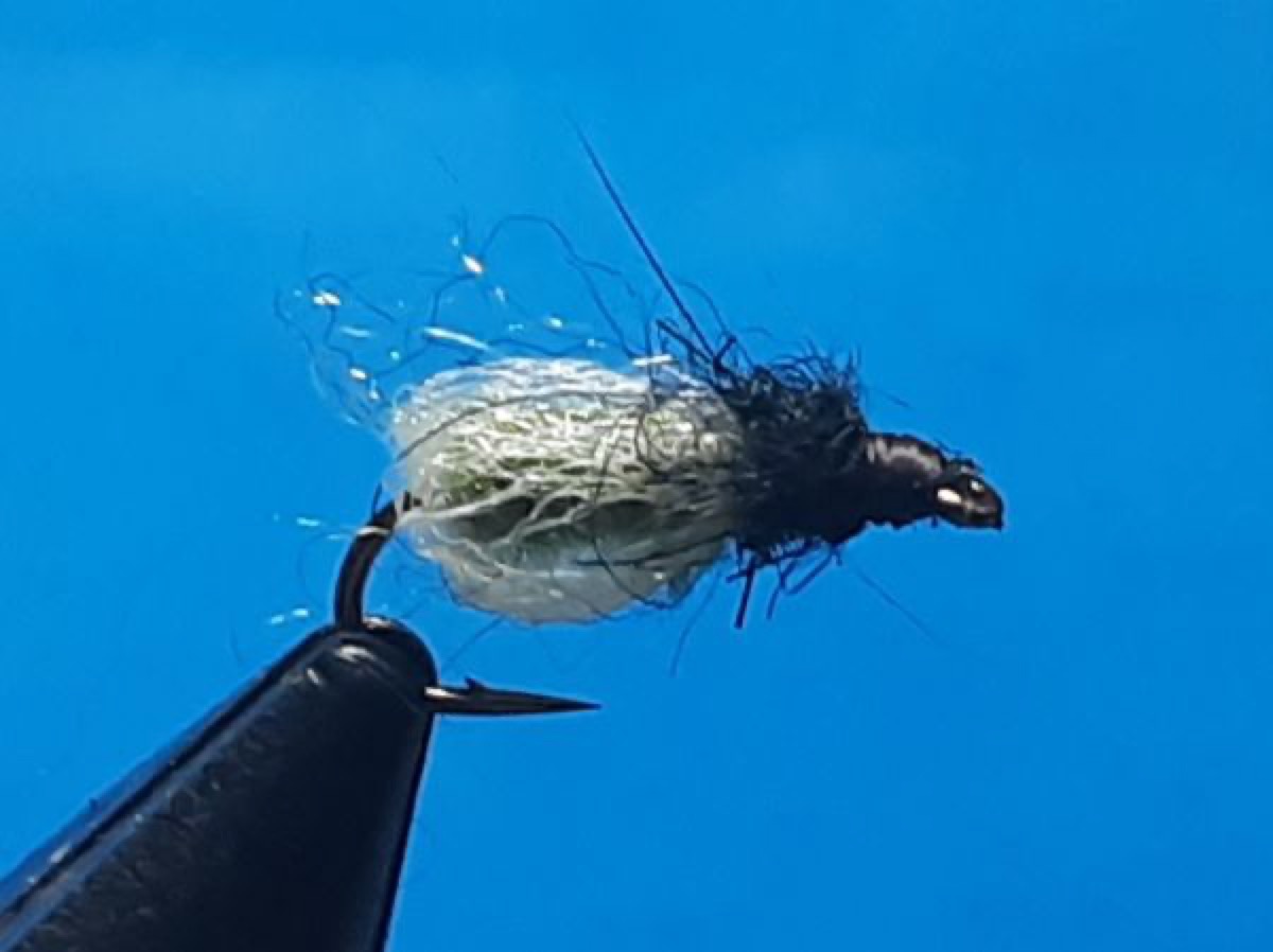 Deep sparkle pupa fly pattern tied by Al Agelwei