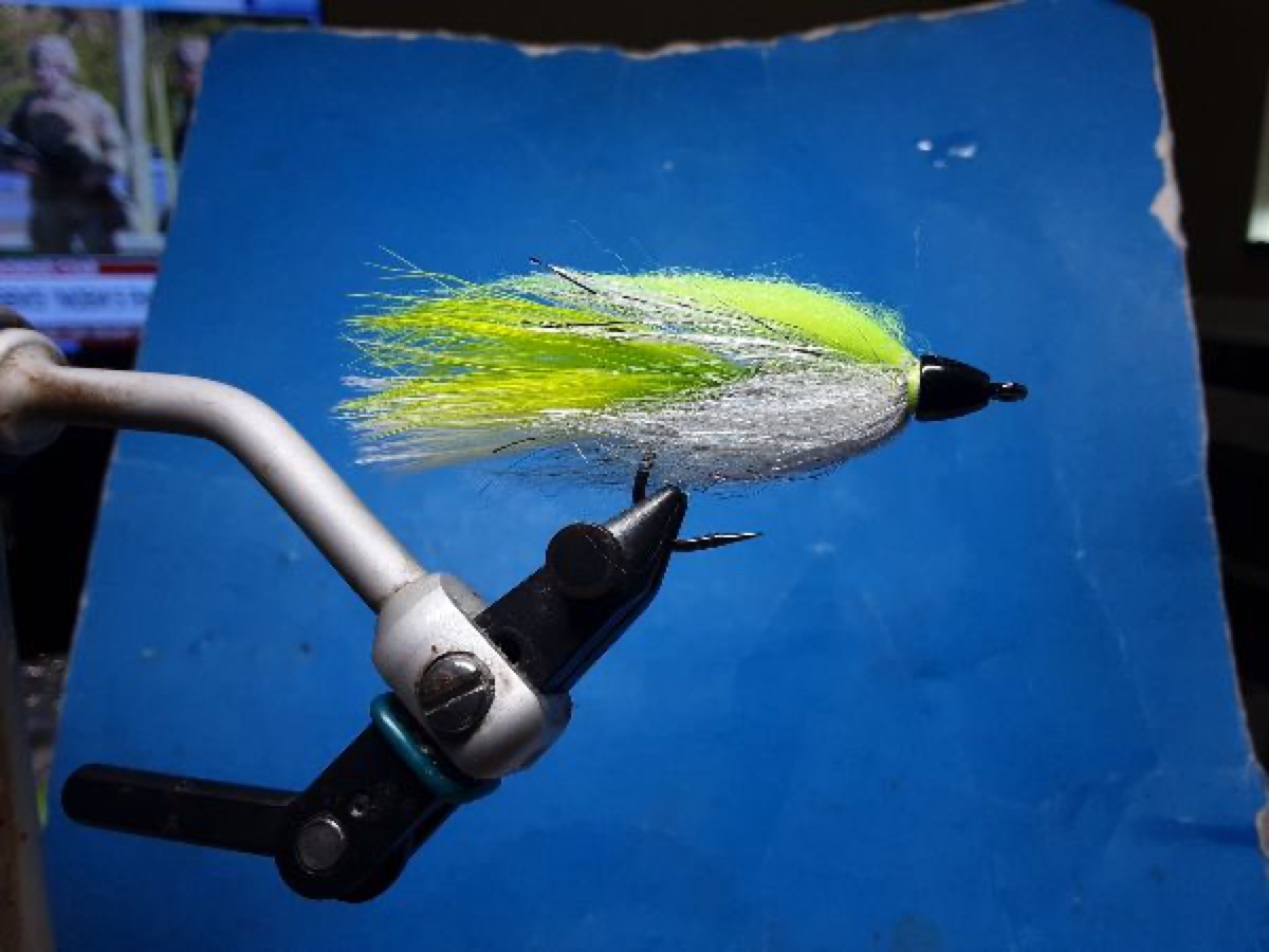 Scup snack fly pattern tied by Al Agelwei