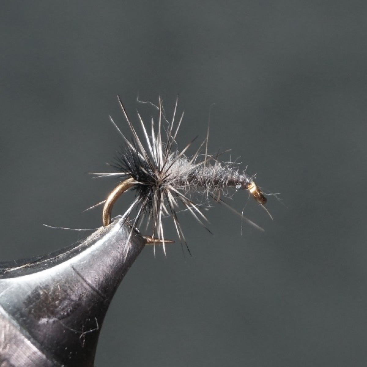 Black Midge Pupa fly pattern tied by Christian Andrews