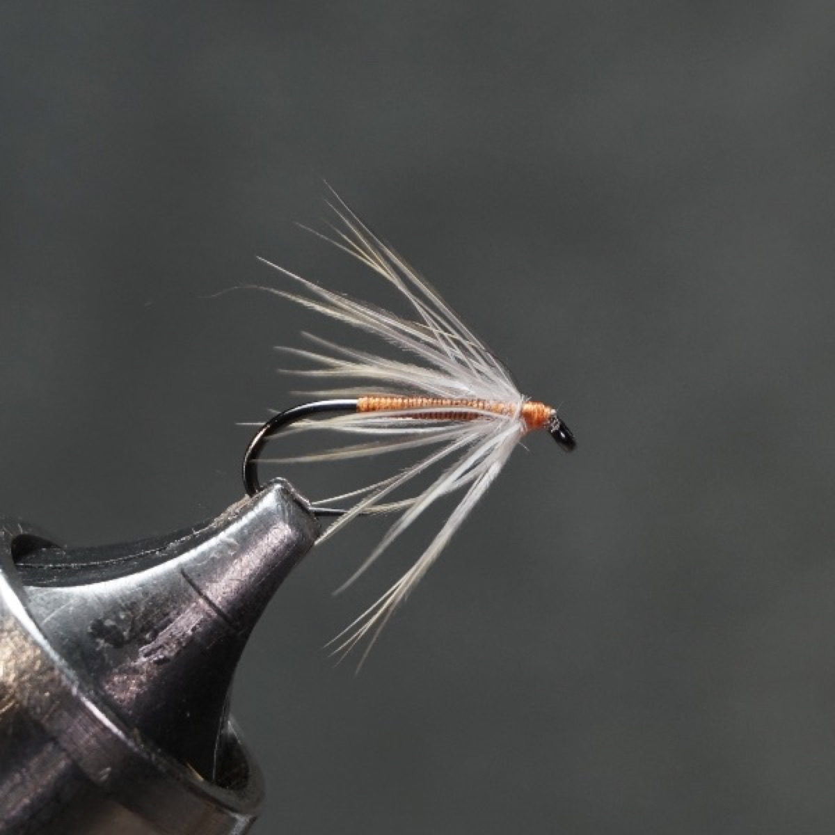 Water Cricket fly pattern tied by Christian Andrews