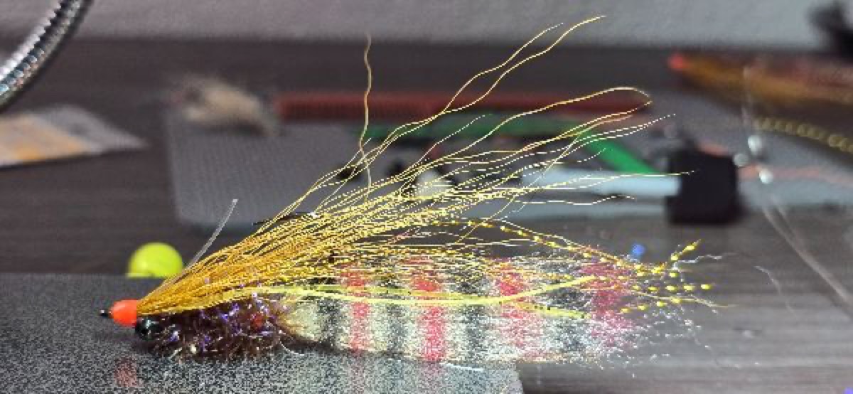 LC Shrimp fly pattern tied by Darrell Olson