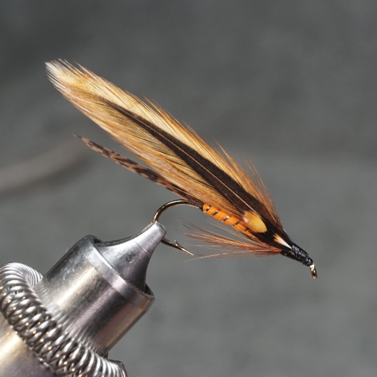 Golden Furnace Streamer fly pattern tied by Christian Andrews