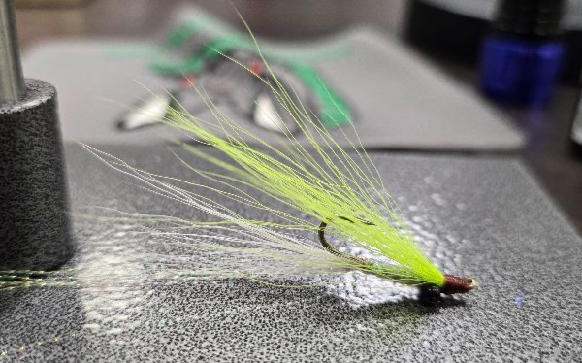 Minetti's Clouser Variant fly pattern tied by Darrell Olson