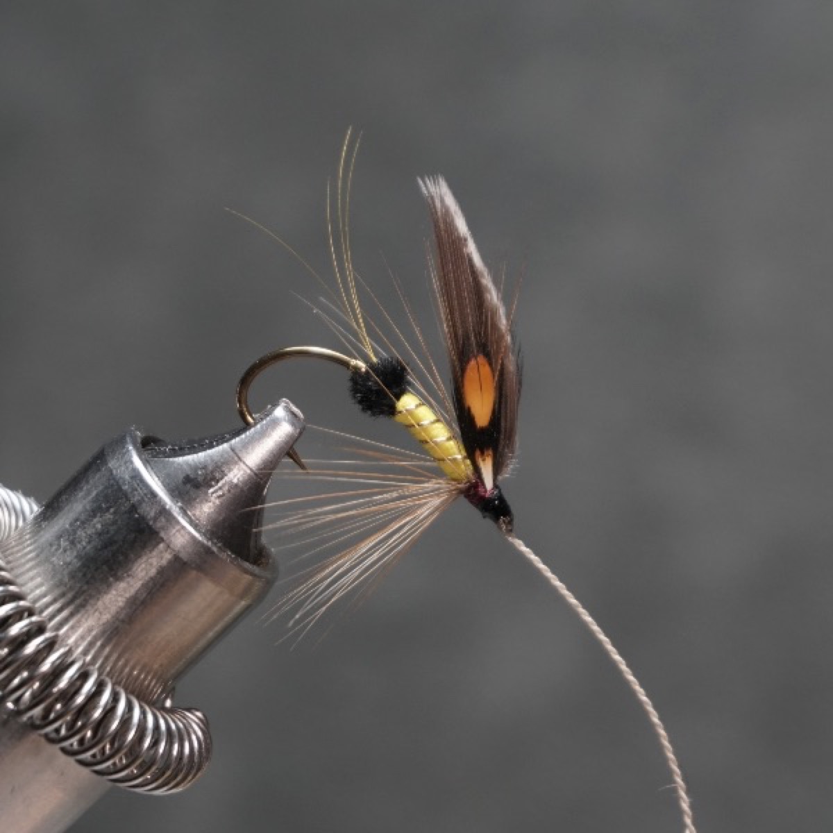 Imbrie fly pattern tied by Christian Andrews
