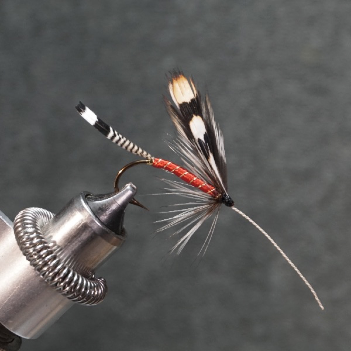 Jungle Cock fly pattern tied by Christian Andrews