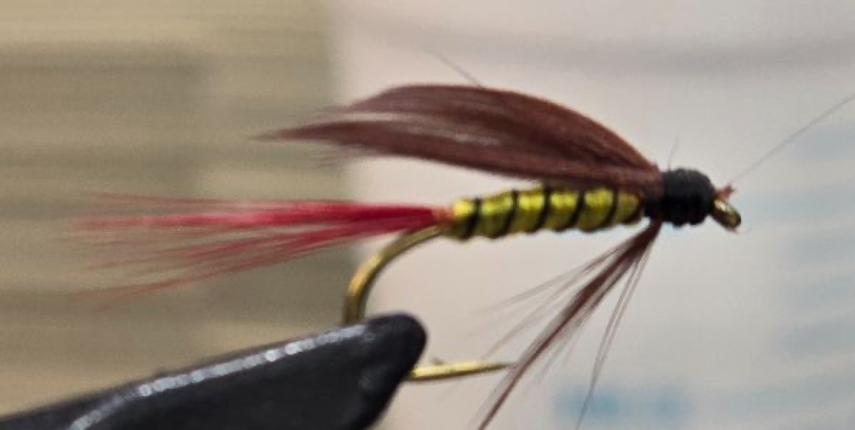 Shockley's Wet Fly fly pattern tied by Darrell Olson