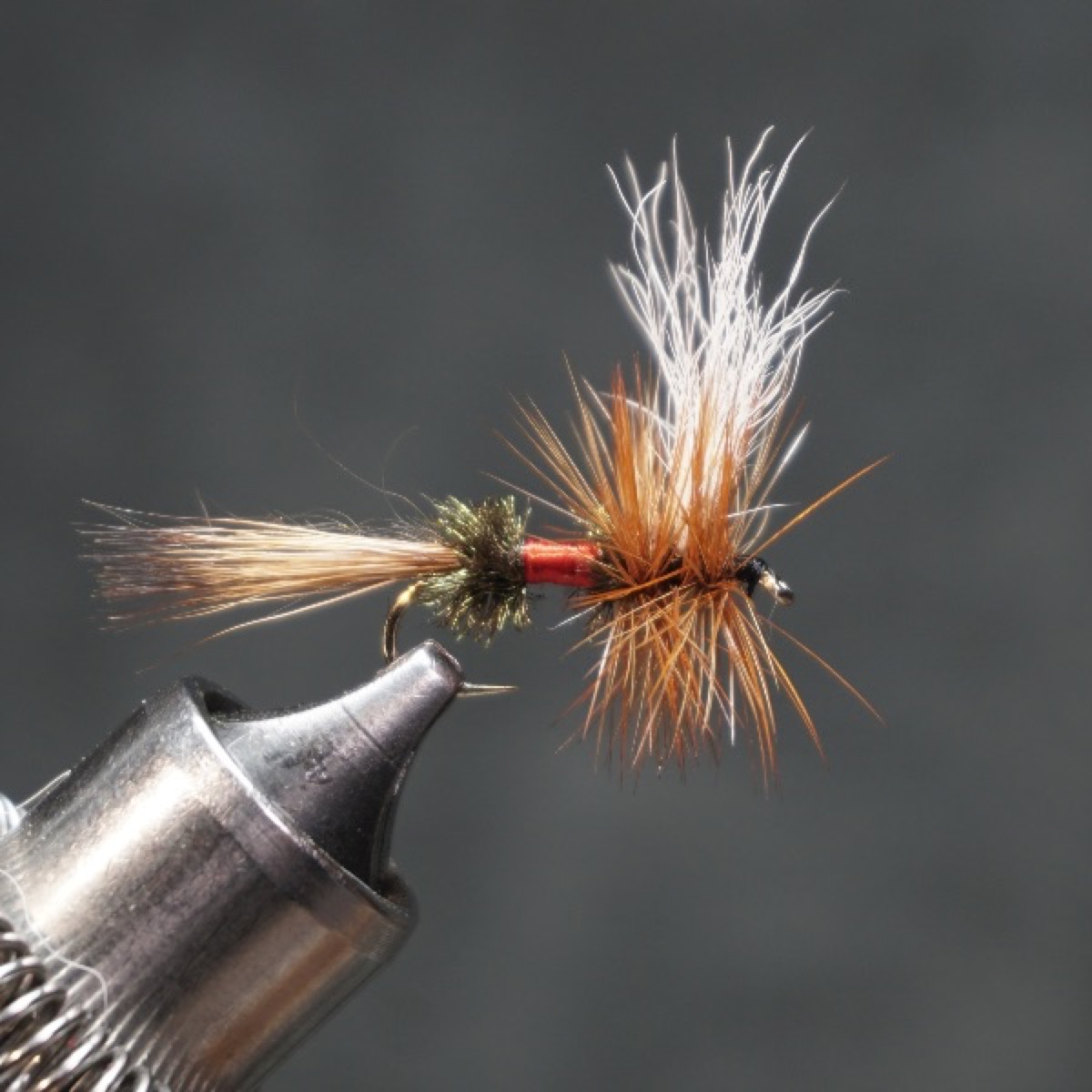 Royal Wulff fly pattern tied by Christian Andrews