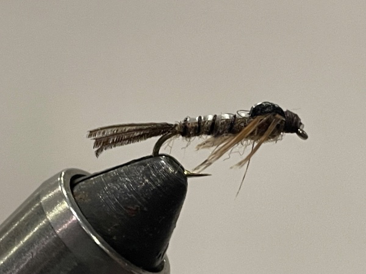 Isonychia (Slate Drake/Mahogany Dun) Nymph fly pattern tied by Brent Jones