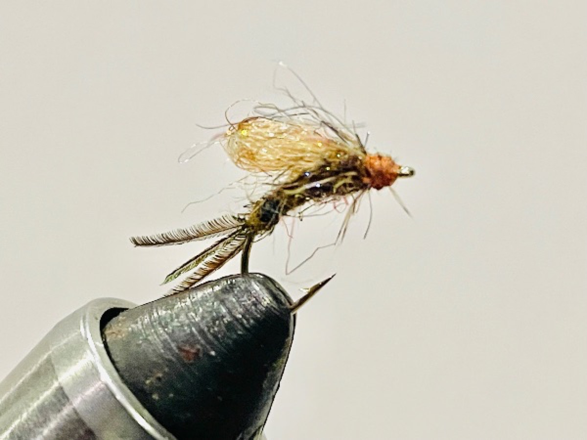 Isonychia (Slate Drake/Mahogany Dun) Emerger fly pattern tied by Brent Jones