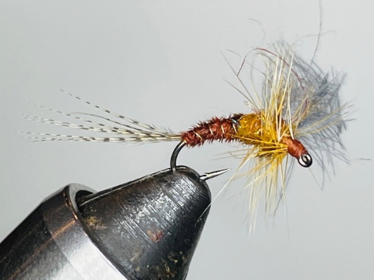 Isonychia (Slate Drake/Mahogany Dun) cripple Kelly Galloup style fly pattern tied by Brent Jones
