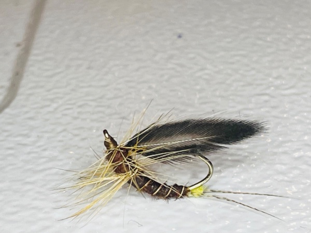 Isonychia (Slate Drake/Mahogany Dun) Inverted Spinner fly pattern tied by Brent Jones