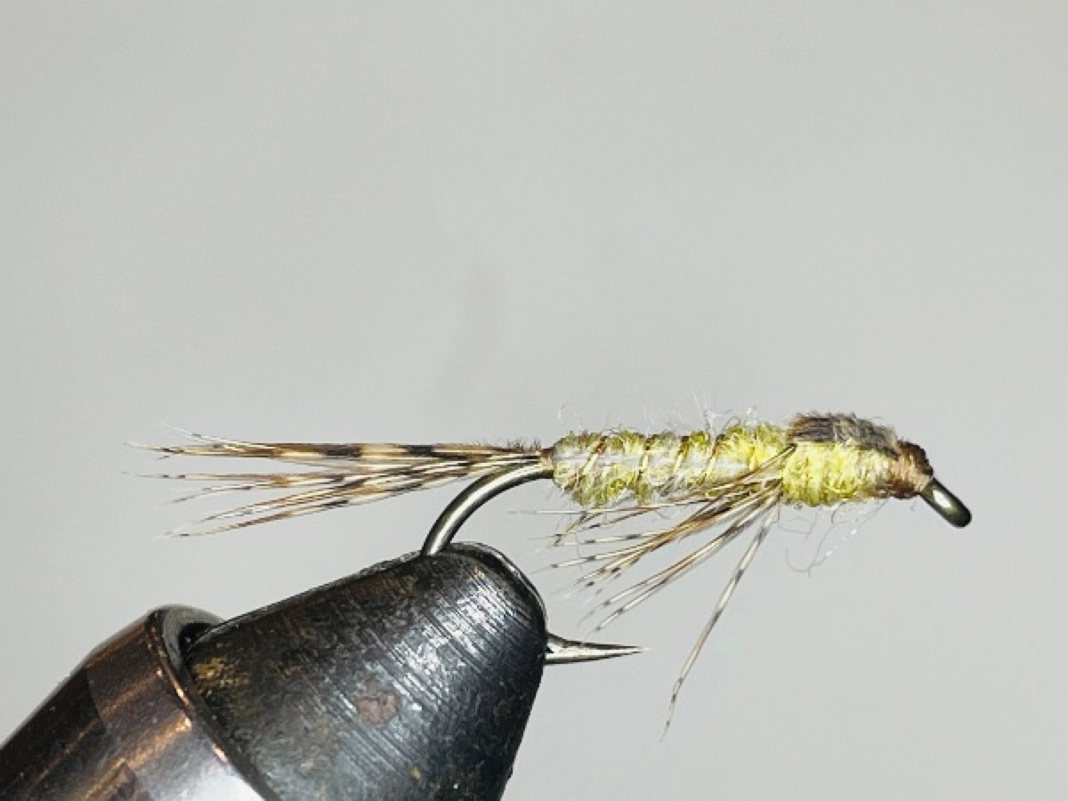 Brown Drake (Ephemera simulans) Nymph fly pattern tied by Brent Jones