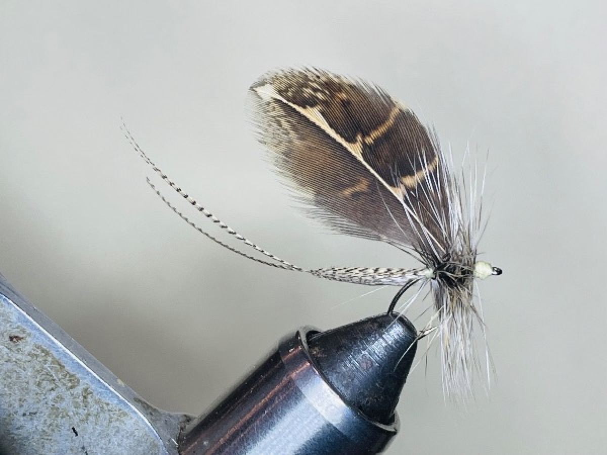 Hatchmaster Brown Drake (Ephemera simulans) Dun fly pattern tied by Brent Jones