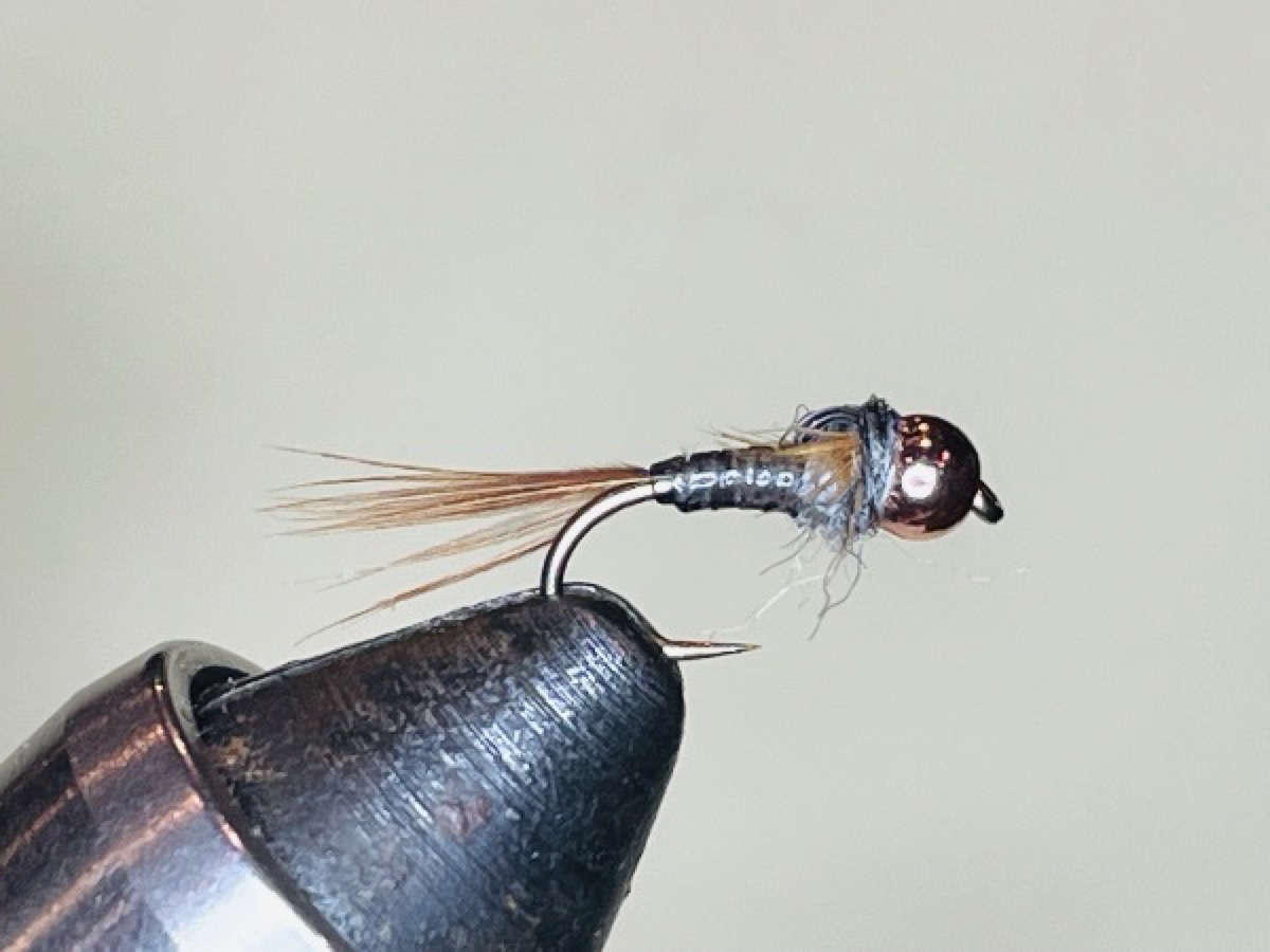 Gray Drake (Siphlonurus quebecensis ) Bead Head Nymph fly pattern tied by Brent Jones