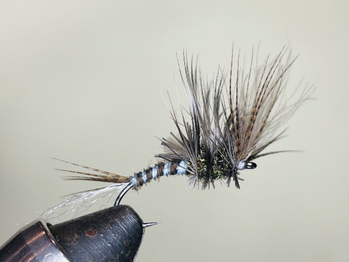 Gray Drake Cripple (Siphlonurus quebecensis ) fly pattern tied by Brent Jones