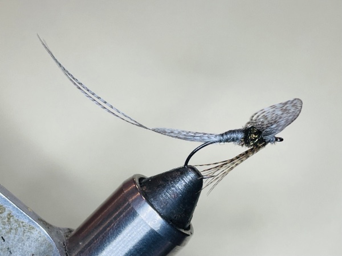 Gray Drake Spent Wing Spinner (Siphlonurus quebecensis ) fly pattern tied by Brent Jones