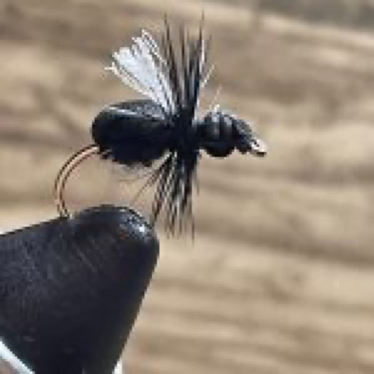 Foam Ant fly pattern tied by Derrick Llewellyn