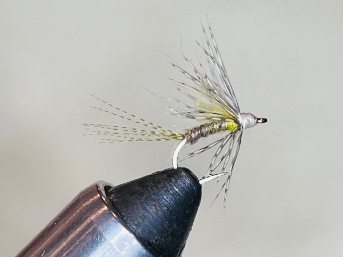 Callibaetis Soft Hackle Emerger (Speckled Dun) Callibaetis ferrugineus - lakes fly pattern tied by Brent Jones