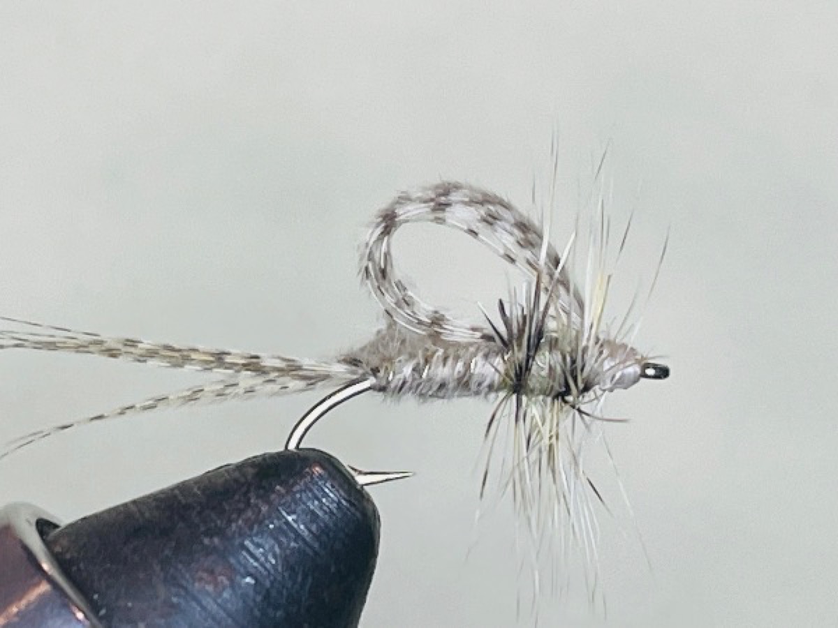 Callibaetis cripple (Speckled Dun) Callibaetis ferrugineus - lakes fly pattern tied by Brent Jones