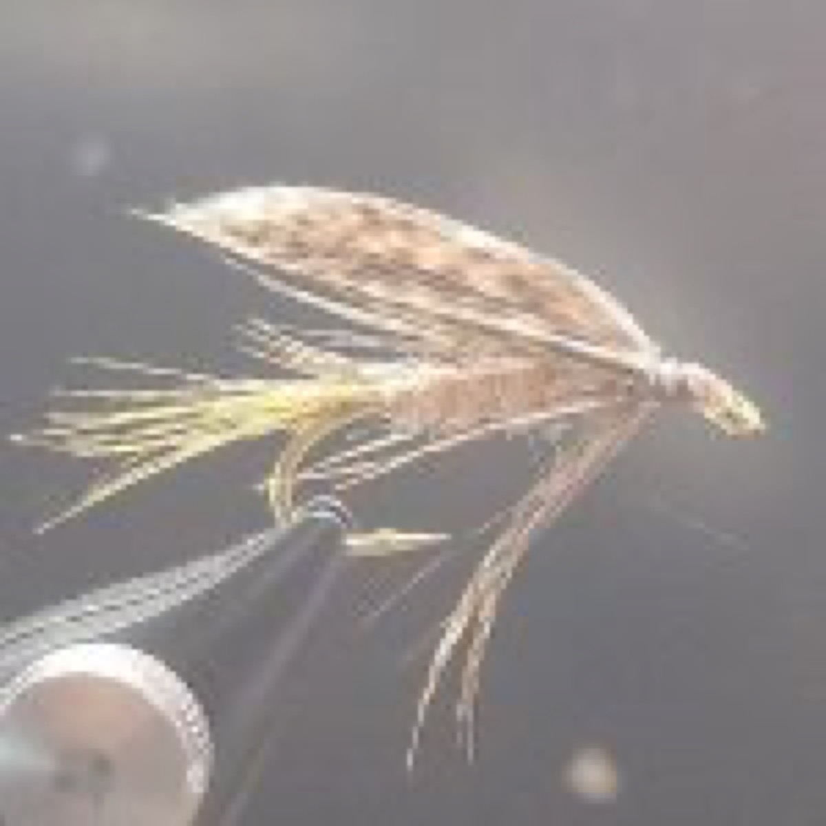 March Brown Wet Fly fly pattern tied by Darrell Olson