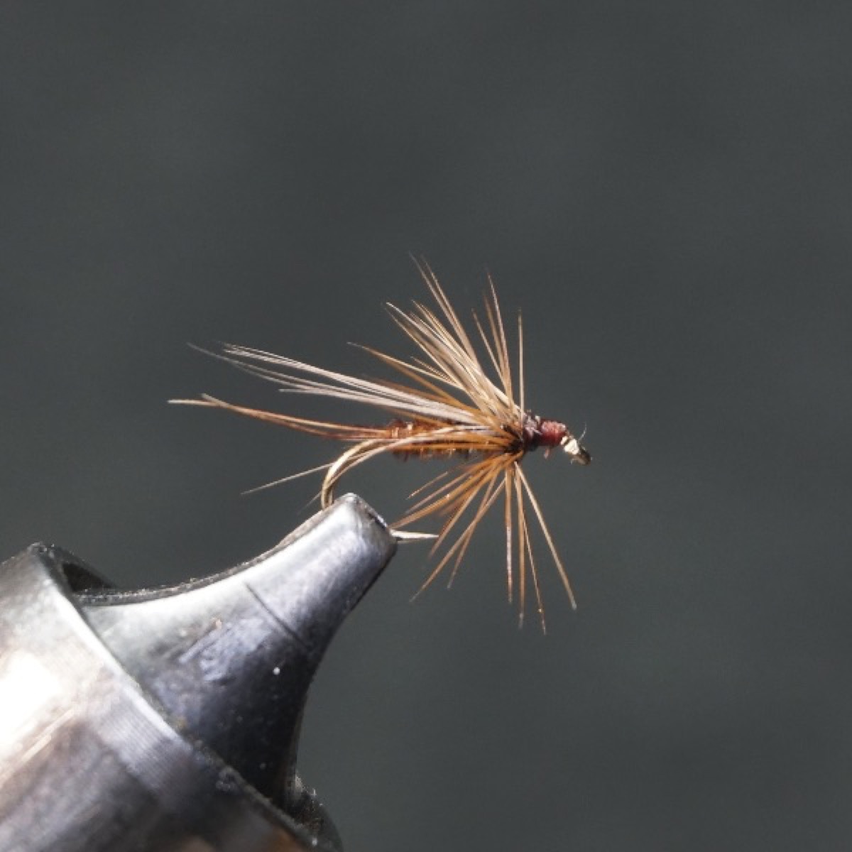 Early Brown Stone fly pattern tied by Christian Andrews