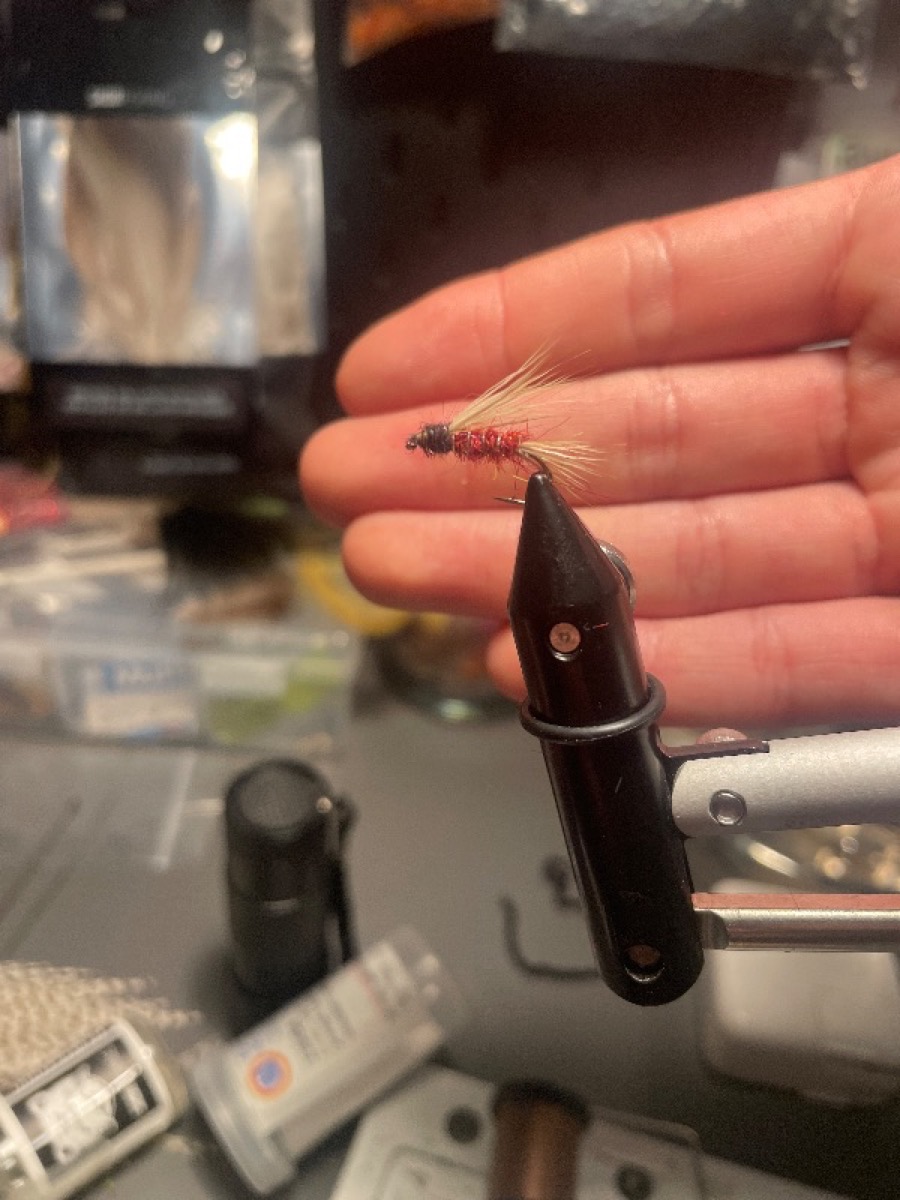 Some kind of agitator fly pattern tied by Laurent Bertrand