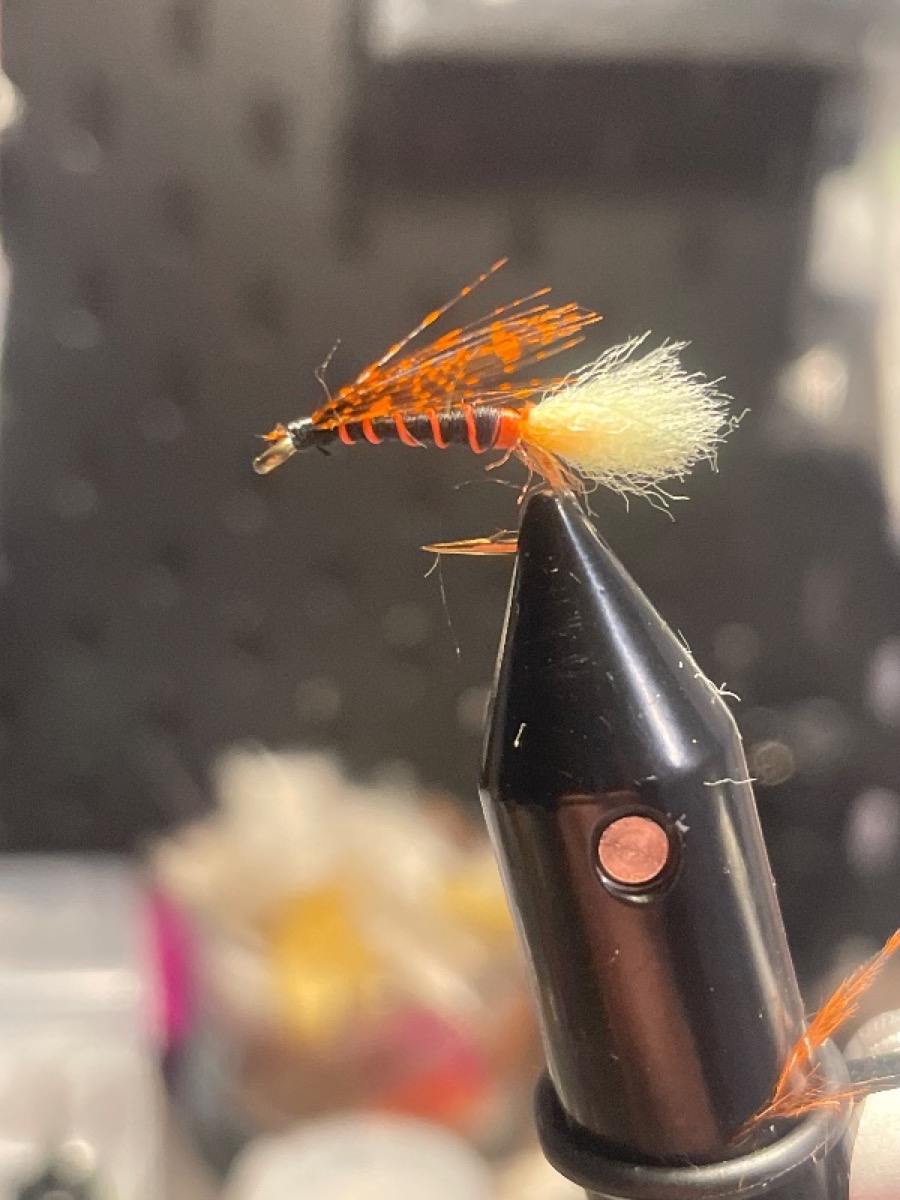 Orange insect laying eggs fly pattern tied by Laurent Bertrand