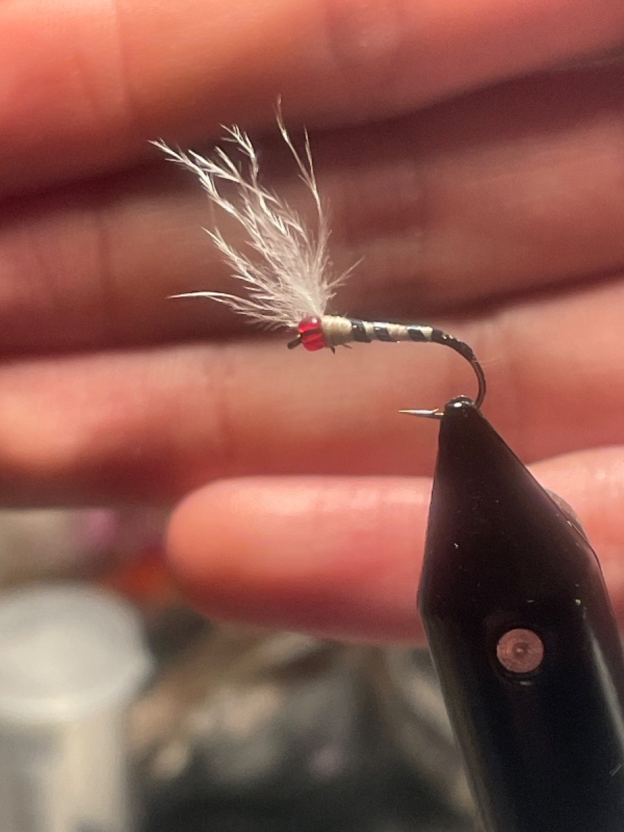 Redhead chirnomoïd fly pattern tied by laurent bertrand